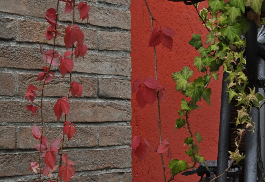 B&B Edera Castagnole Piemonte Exterior photo