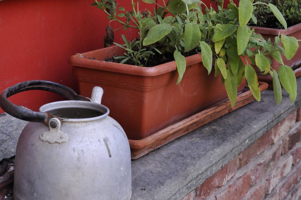 B&B Edera Castagnole Piemonte Exterior photo